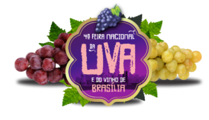 Top Feira Da Uva 300x173